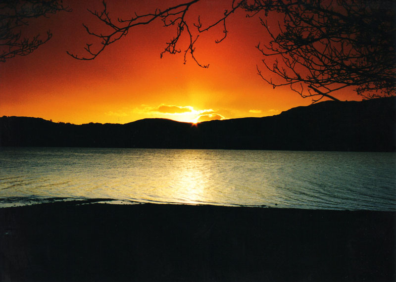 To save this picture as Windows Wallpaper - right click it - then select "Set as Background"